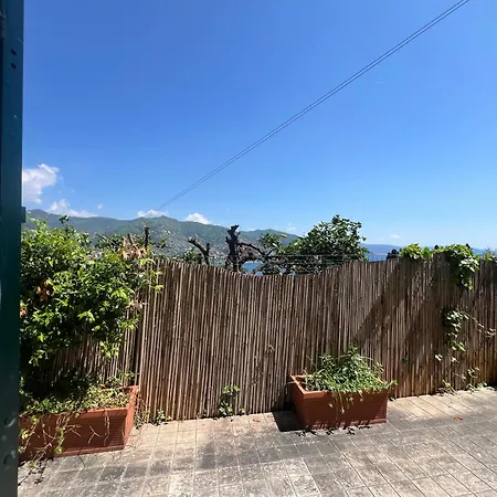 Enea