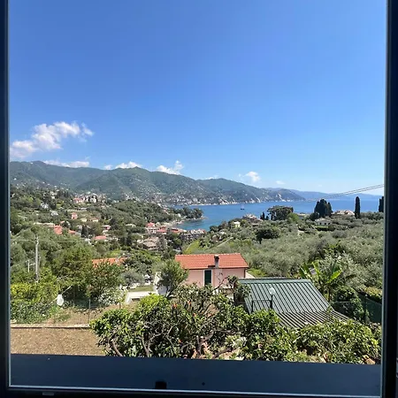 Enea *